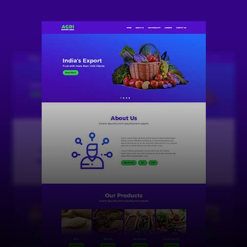 Website Design Services